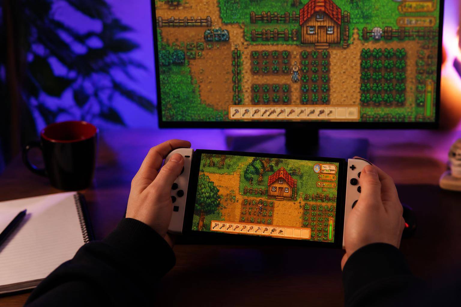 Stardew Valley